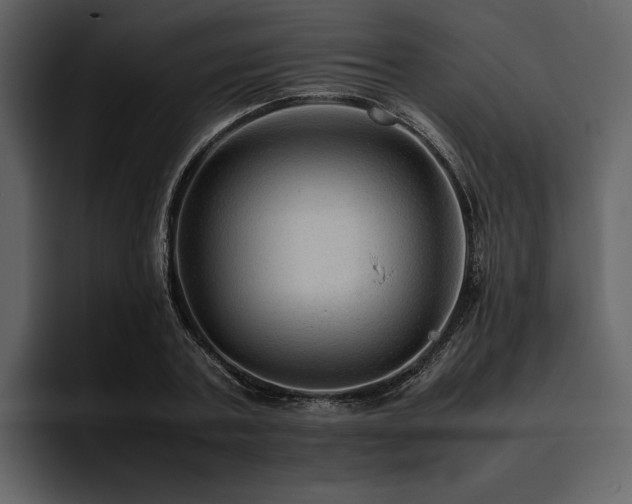 X0000095940787200801111329