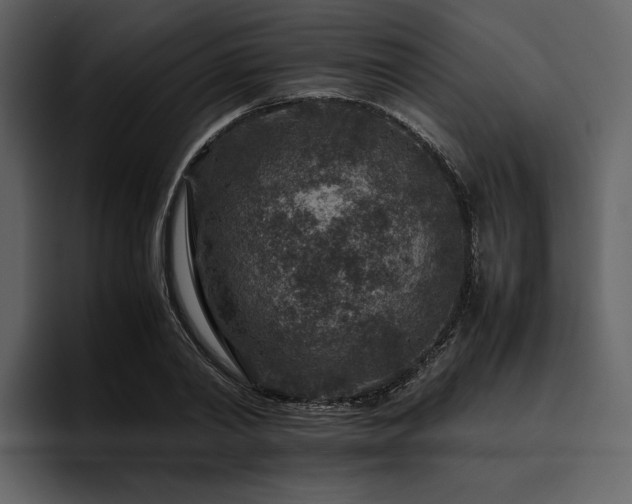 X0000095940790200801111329