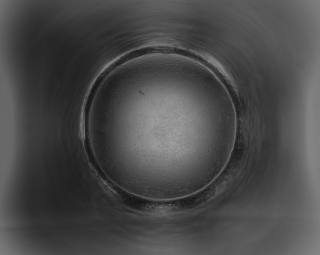 X0000095940791200801111329
