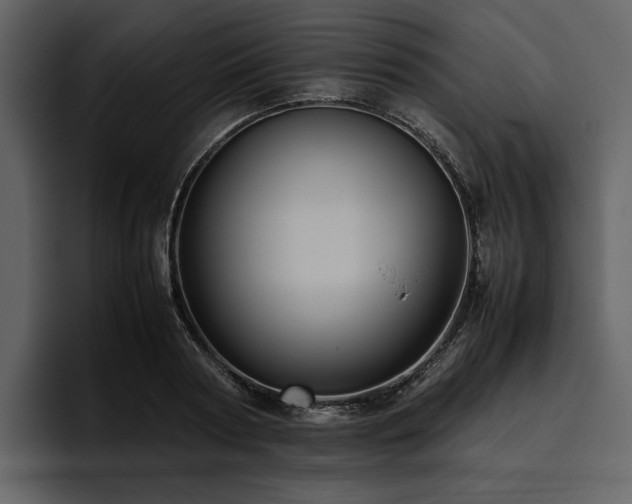 X0000095940794200801111329