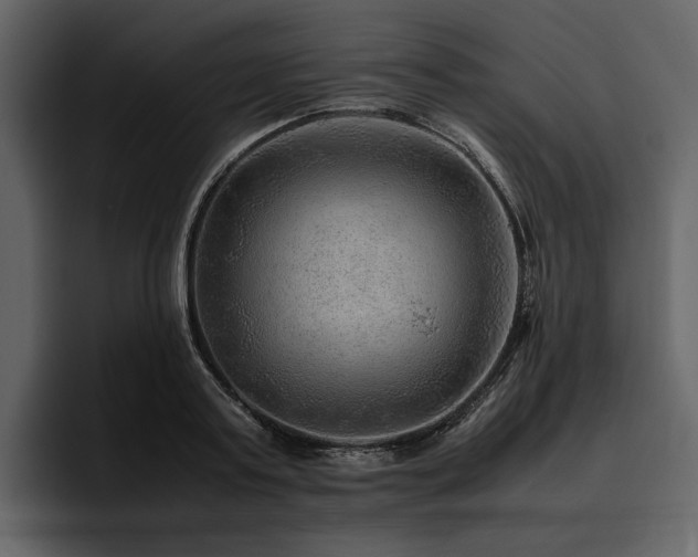 X0000095940795200801111329