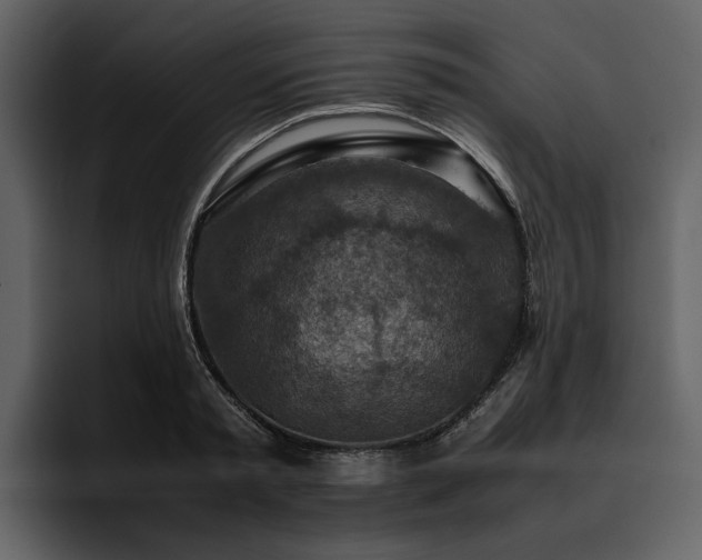X0000095940797200801111329