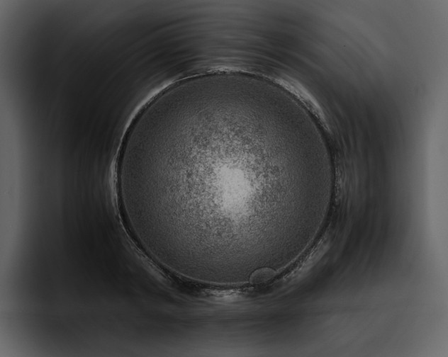 X0000095940798200801111329