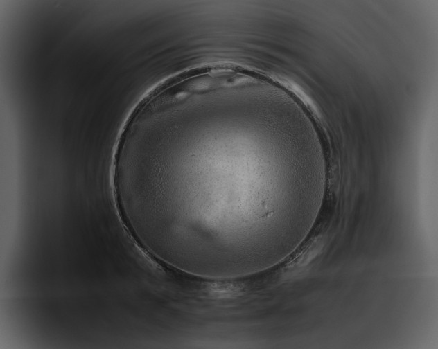 X0000095940799200801111329