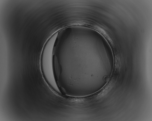 X0000095940802200801111329