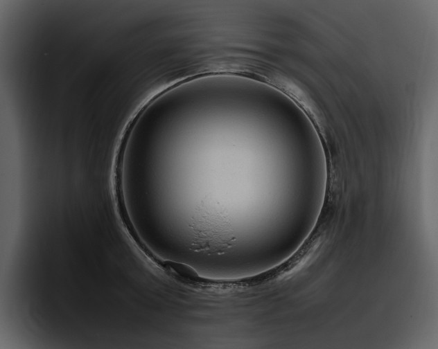 X0000095940803200801111329