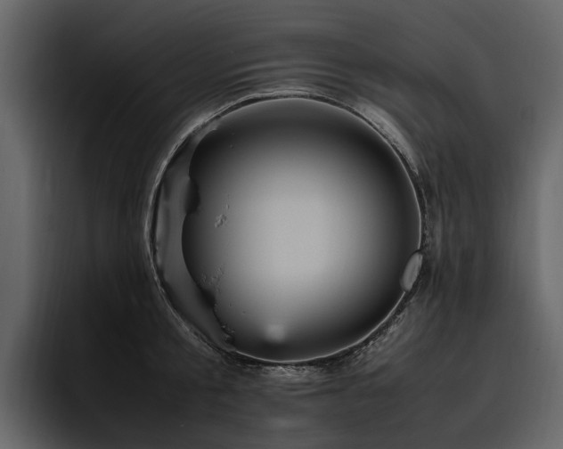 X0000095940805200801111329