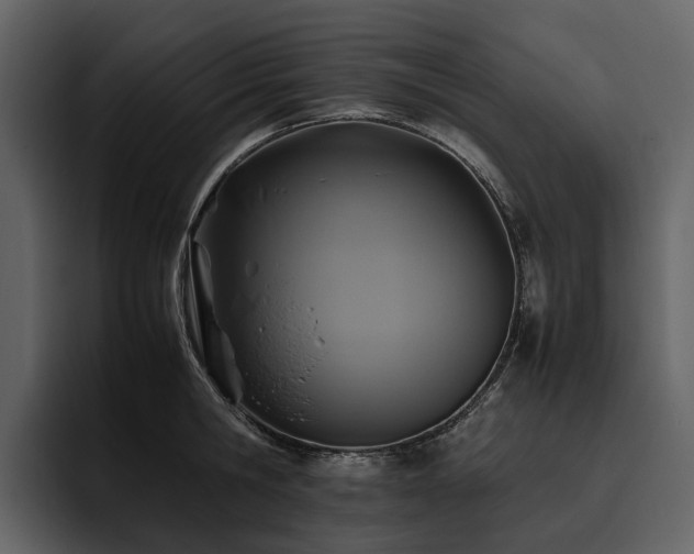 X0000095940806200801111329