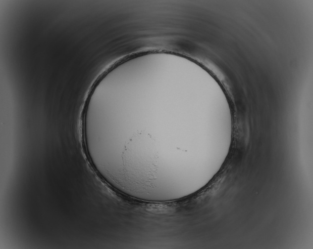 X0000095940807200801111329