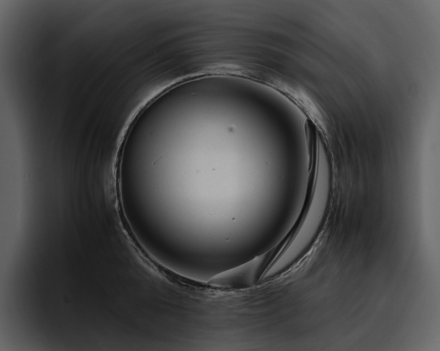 X0000095940808200801111329