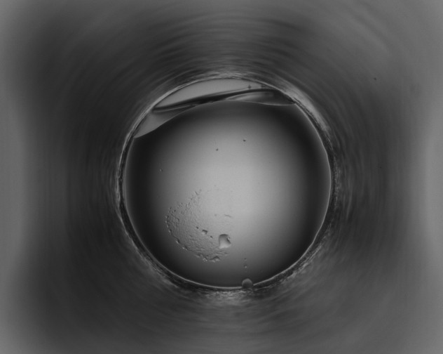 X0000095940810200801111329