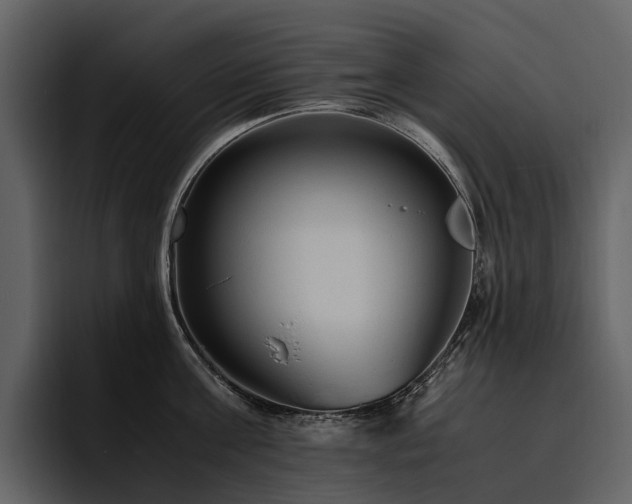 X0000095940811200801111328