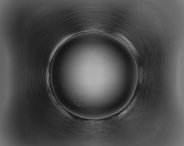 X0000095940812200801111328
