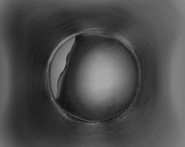X0000095940816200801111328
