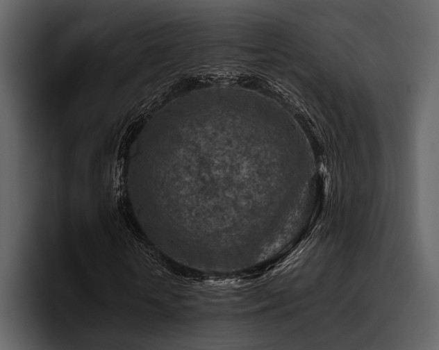 X0000095940818200801111328