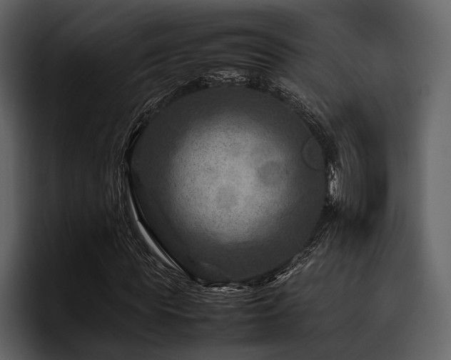 X0000095940819200801111328