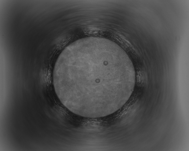 X0000095940820200801111328