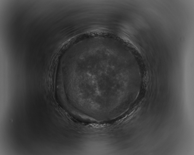 X0000095940822200801111328