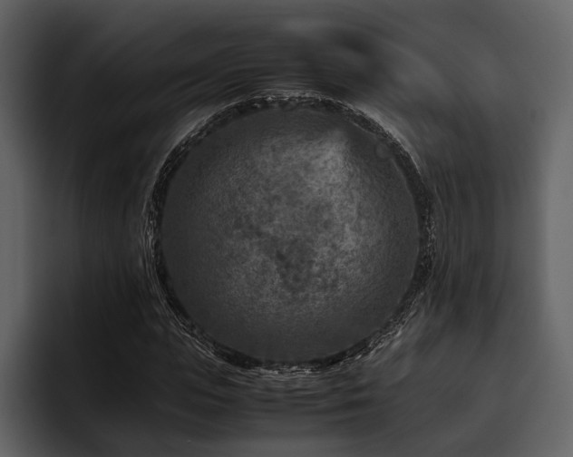 X0000095940823200801111328