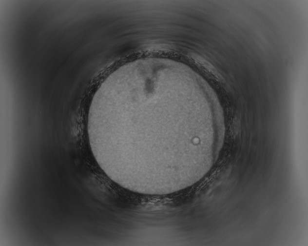 X0000095940824200801111328