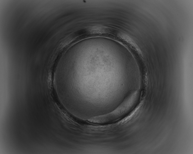 X0000095940825200801111328