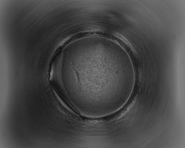X0000095940826200801111328