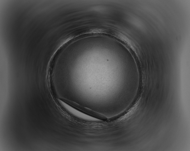 X0000095940827200801111328