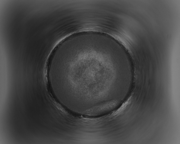 X0000095940830200801111328