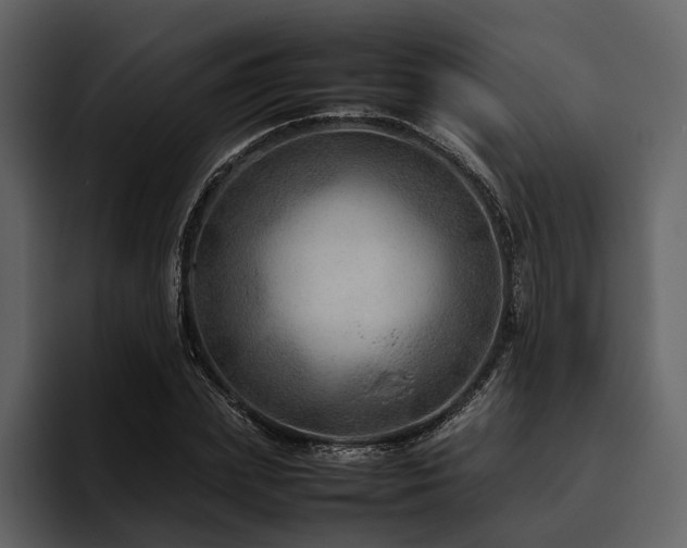 X0000095940831200801111328
