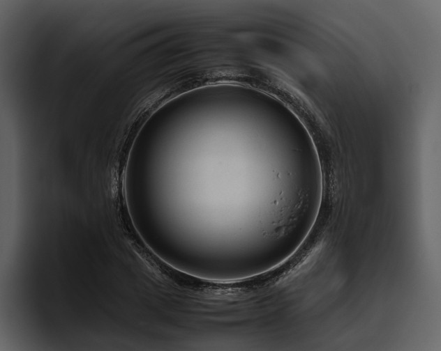 X0000095940833200801111328