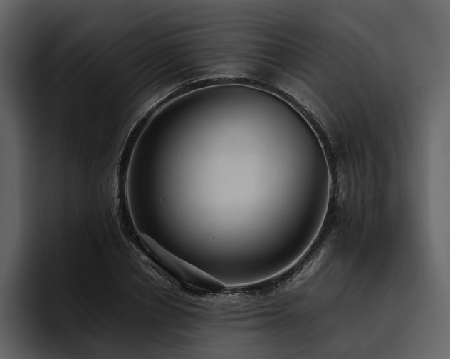X0000095940834200801111328
