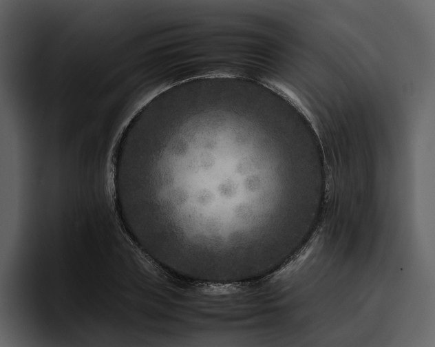 X0000095940835200801111328
