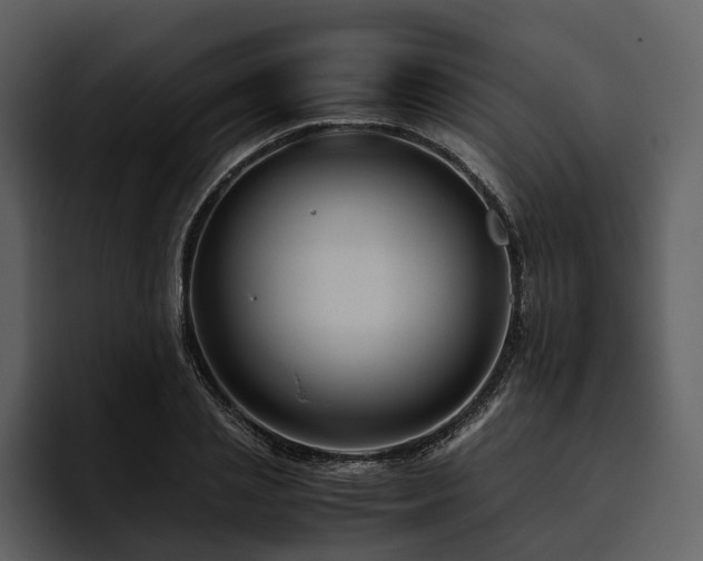 X0000095940837200801111328