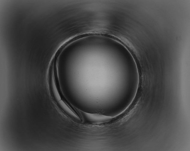 X0000095940838200801111328