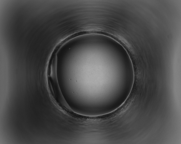 X0000095940840200801111328