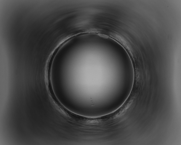 X0000095940843200801111328