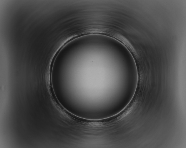 X0000095940844200801111328