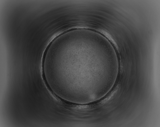 X0000095940845200801111328