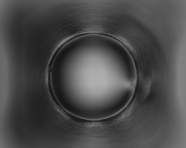 X0000095940846200801111328