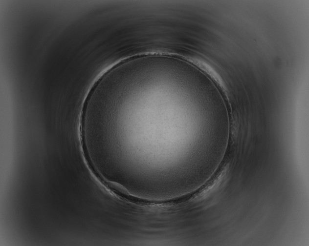 X0000095940847200801111328