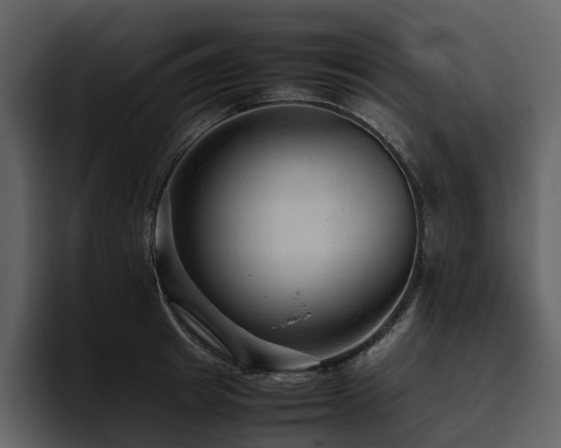 X0000095940849200801111328