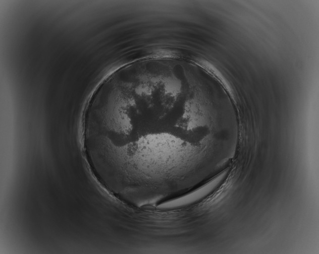 X0000095940851200801111328