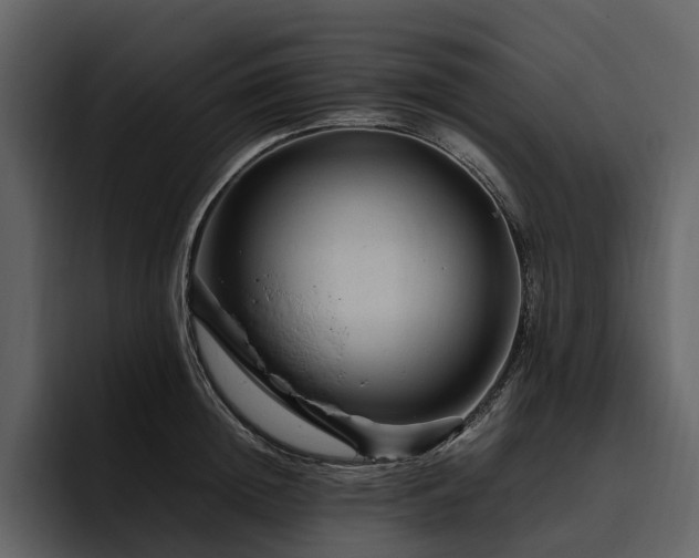X0000095940852200801111328