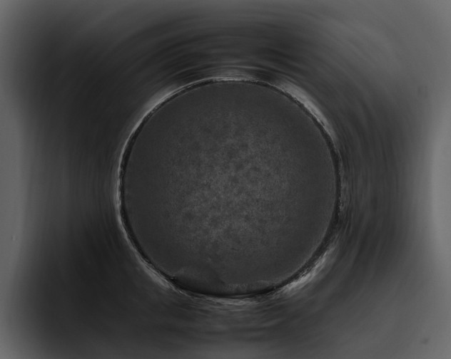 X0000095940853200801111328