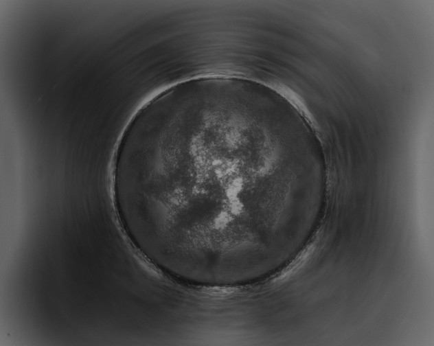 X0000095940854200801111328
