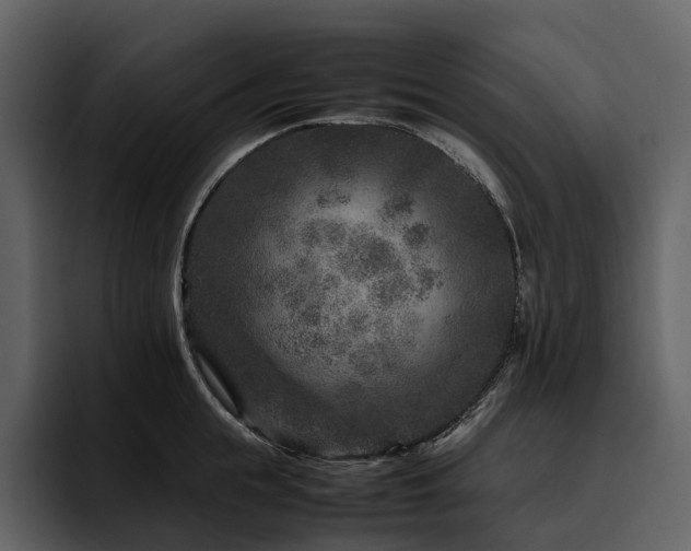 X0000095940855200801111328