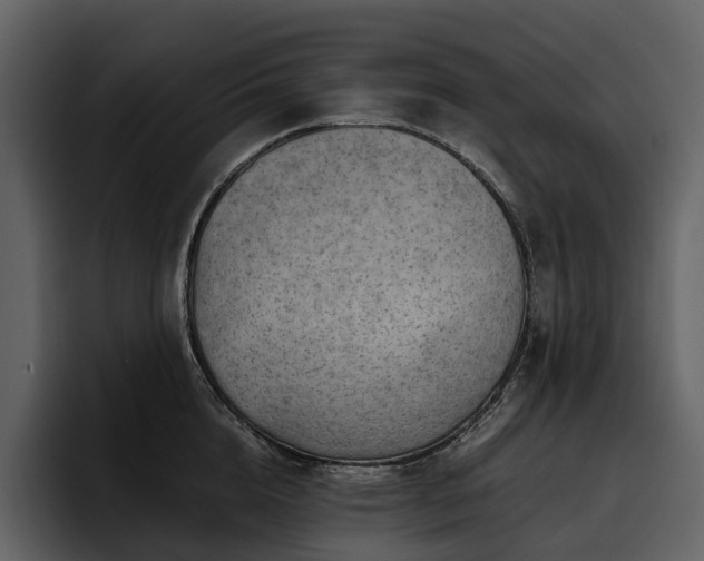 X0000095940856200801111328