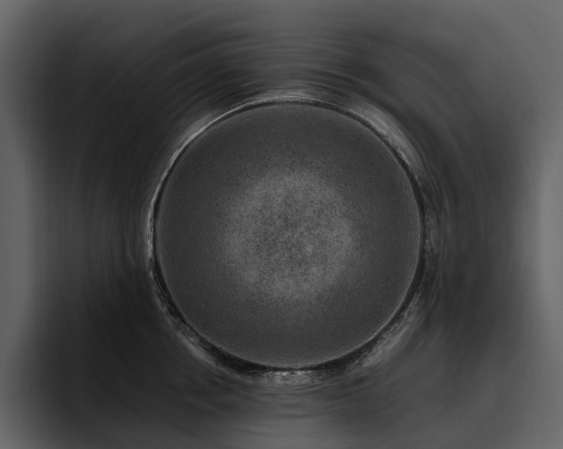 X0000095940858200801111328