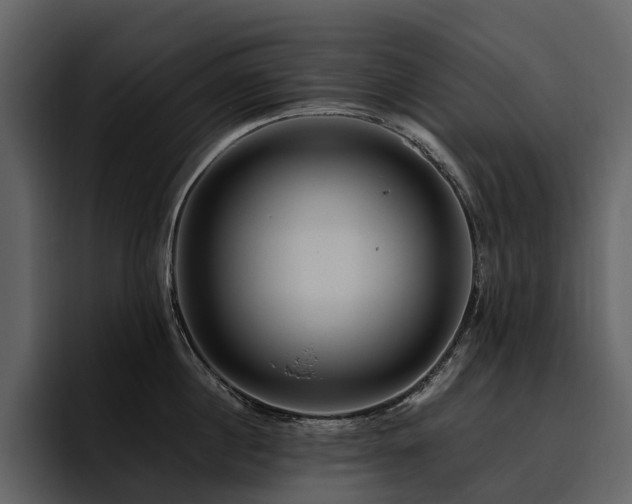 X0000095940860200801111328