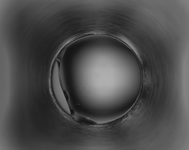 X0000095940861200801111328